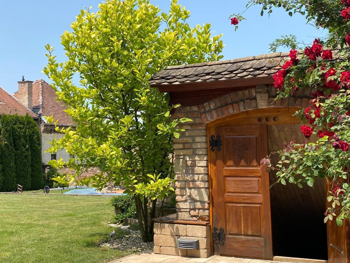 Vacon Var-Lak Vendeghaz / Bird Nest Vac Vác Exterior foto